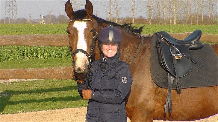 Dansk Varmblod Cherri billede 18