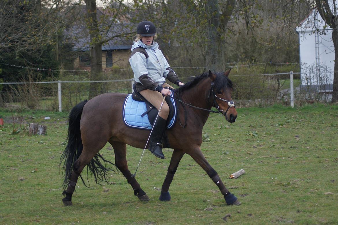 Anden særlig race Stjerne billede 2
