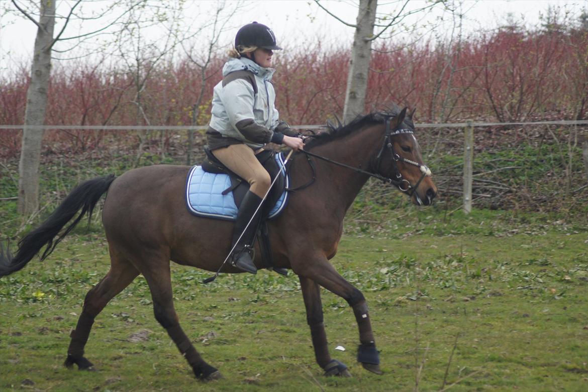 Anden særlig race Stjerne billede 16