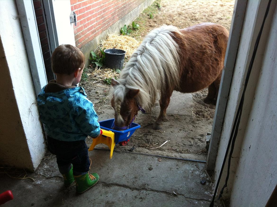 Miniature Puf billede 8