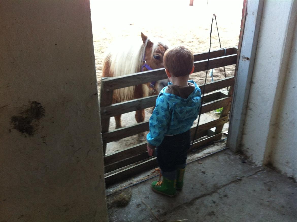 Miniature Puf billede 9