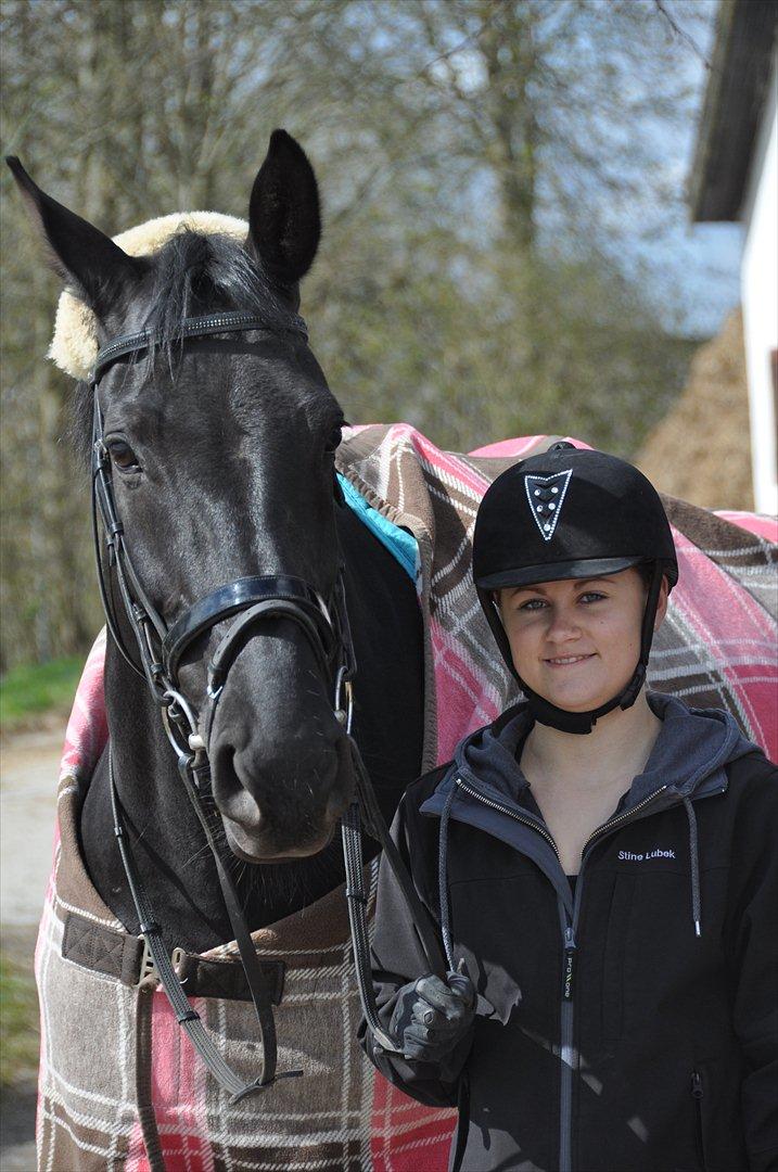 Dansk Varmblod Amy - Søde hestiii billede 4