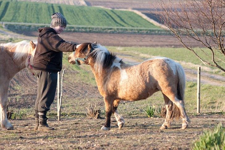 Anden særlig race Dansemusen Muddi - "Du må godt lidt..!! KUN LIDT..!!!!" billede 15