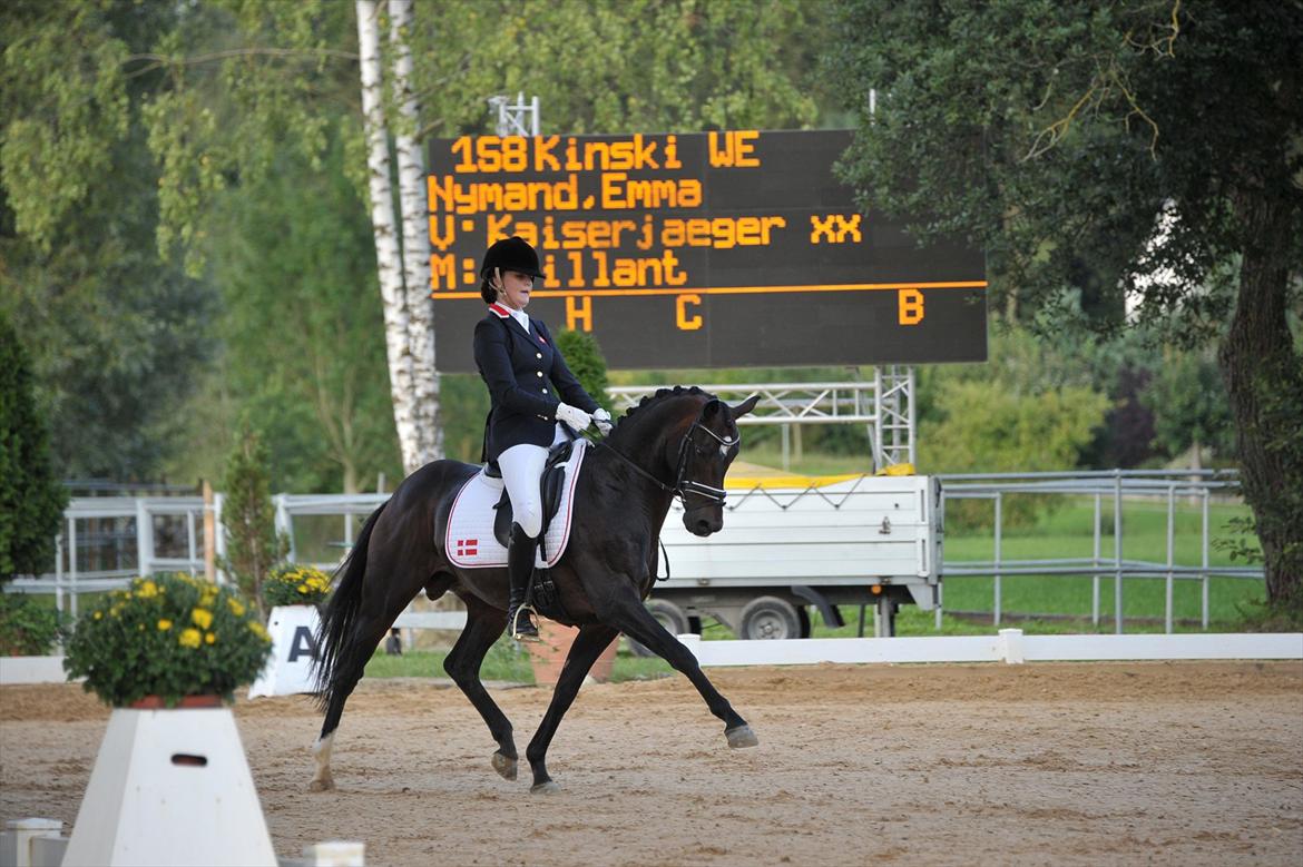 Tysk Sportspony Kinski We - Internationalt stævne i tyskland 2011 billede 1