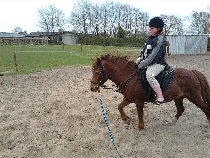 Anden særlig race bella - de er så fine sammen  billede 11