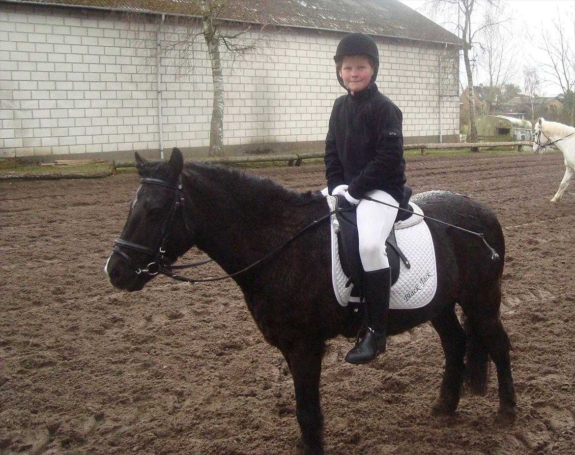 Anden særlig race BlackJack Er desvære i Heste Himlen - Første stævne :)
det regnede lidt  billede 1