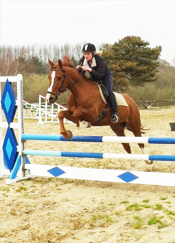 Anden særlig race Gano - Endnu en dejlig spring-time hos Anne. (-;  billede 2