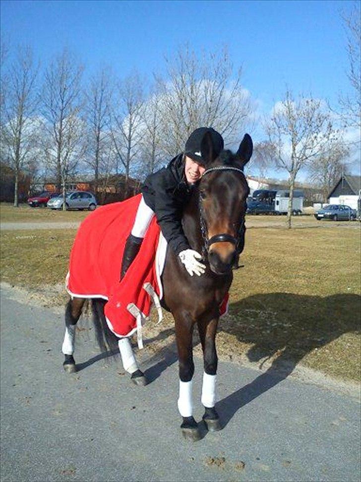 New Forest Sky Jumper <3  SOLGT! <3 Tidligere pony<3 - <3<3 billede 10