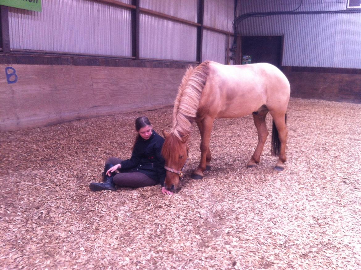 Anden særlig race Lucas <3 - Her er der da intet om at jeg ikke stoler på dig pony! <3  

ELSKER DIG! <3 billede 9