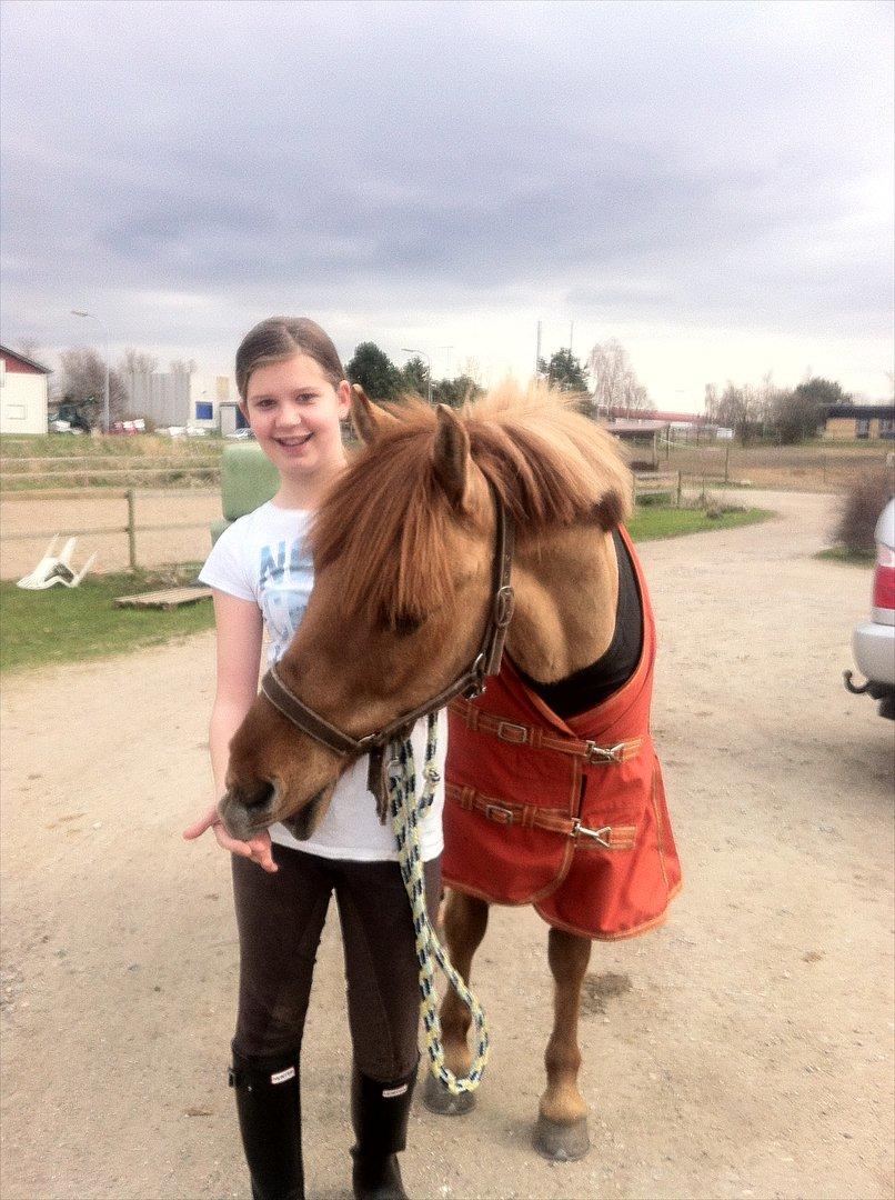 Anden særlig race Lucas <3 - På vej ind fra folden! <3 :-* billede 14