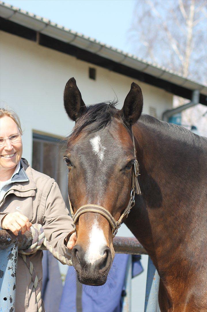 Oldenborg Gunnihus Nino - 21-04-12 billede 8