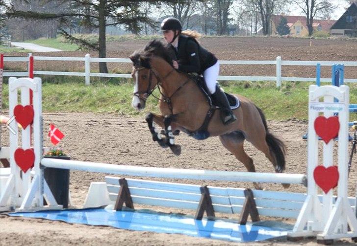 Anden særlig race Cappagh Unique - Una og jeg i fin stil over vandgraven til nordsjællandsmesterskaberne 2012 :)

Taget af Natalie Sam
 billede 17