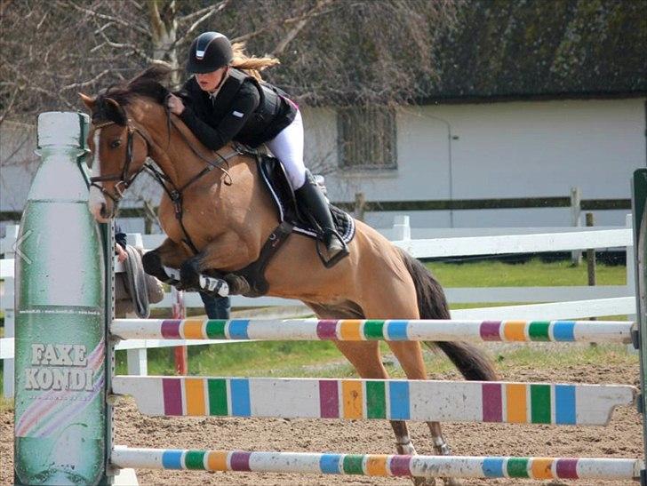 Anden særlig race Cappagh Unique - Nordsjællandsmesterskaberne 2012 <3

Taget af Natalie Sam billede 18