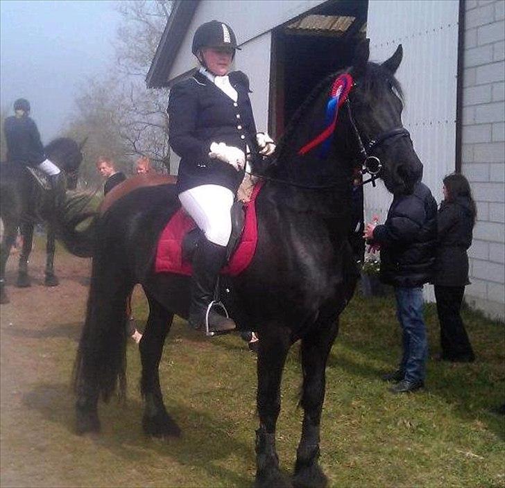 Frieser Labelle (Rix) RIP - 21. april springstævne Horsensrideskole, billede 7