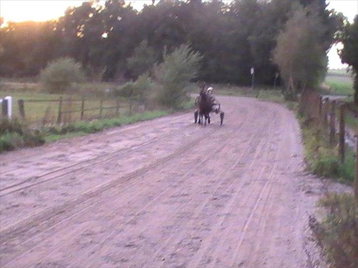 Traver Princess Guy - vi køre en bette tur billede 11