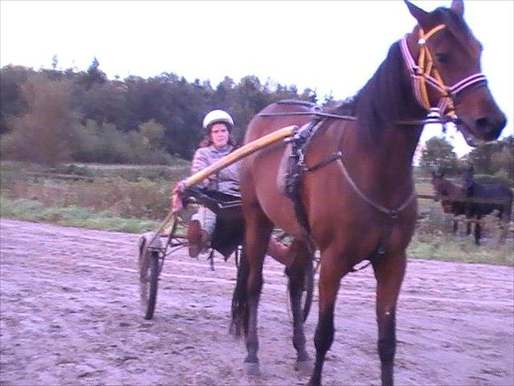 Traver Princess Guy - at stå stille billede 12