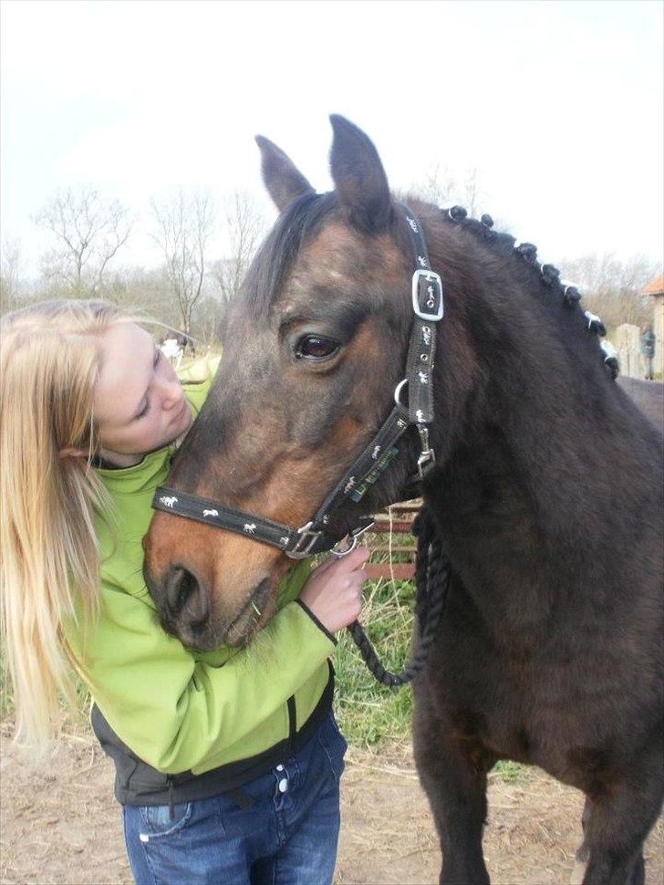 Anden særlig race La Jeanteés Shannon - Myssar! billede 3