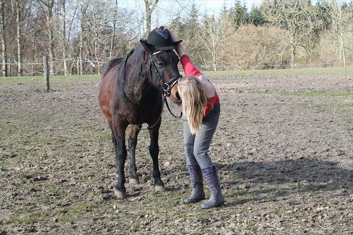 Anden særlig race La Jeanteés Shannon - Sikkerheden først! billede 5