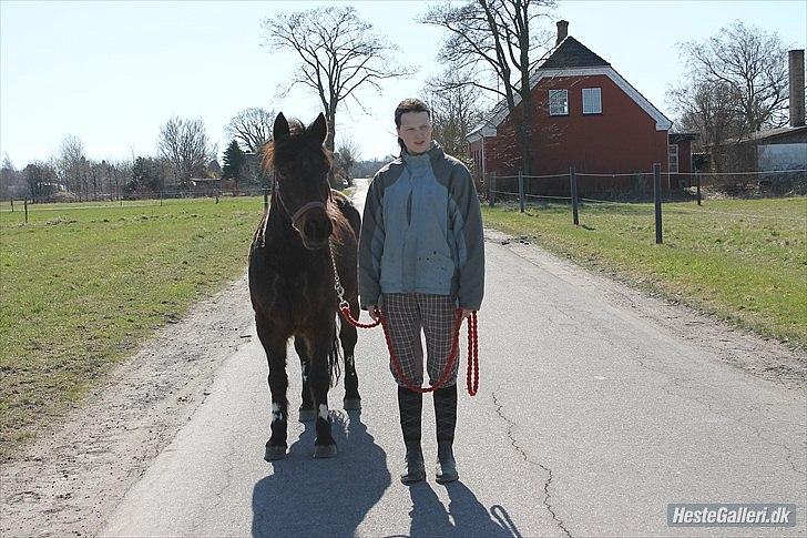 Anden særlig race Charmer - på tur det nye sted <3 billede 3