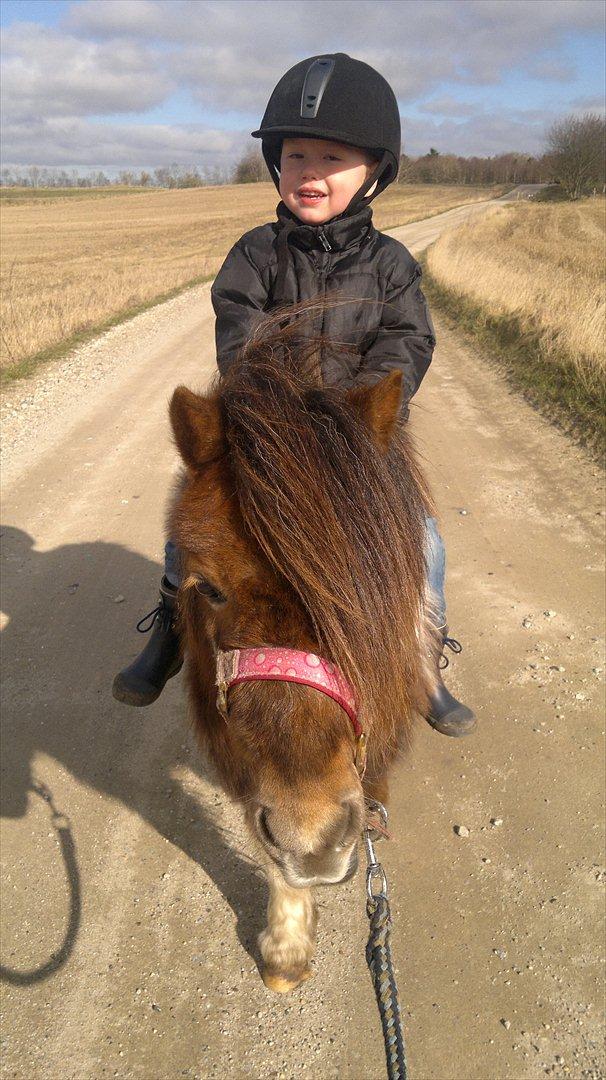 Anden særlig race Hesselskov´s Gabrielle - Nicole´s søn Tobias og Gaby :o) billede 4