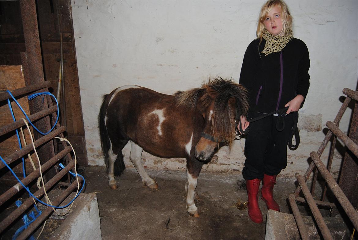 Anden særlig race Hesselskov´s Gabrielle - D. 24/9-2011 Gaby og mig i stalden, da hun lige var ankommet :o) billede 8