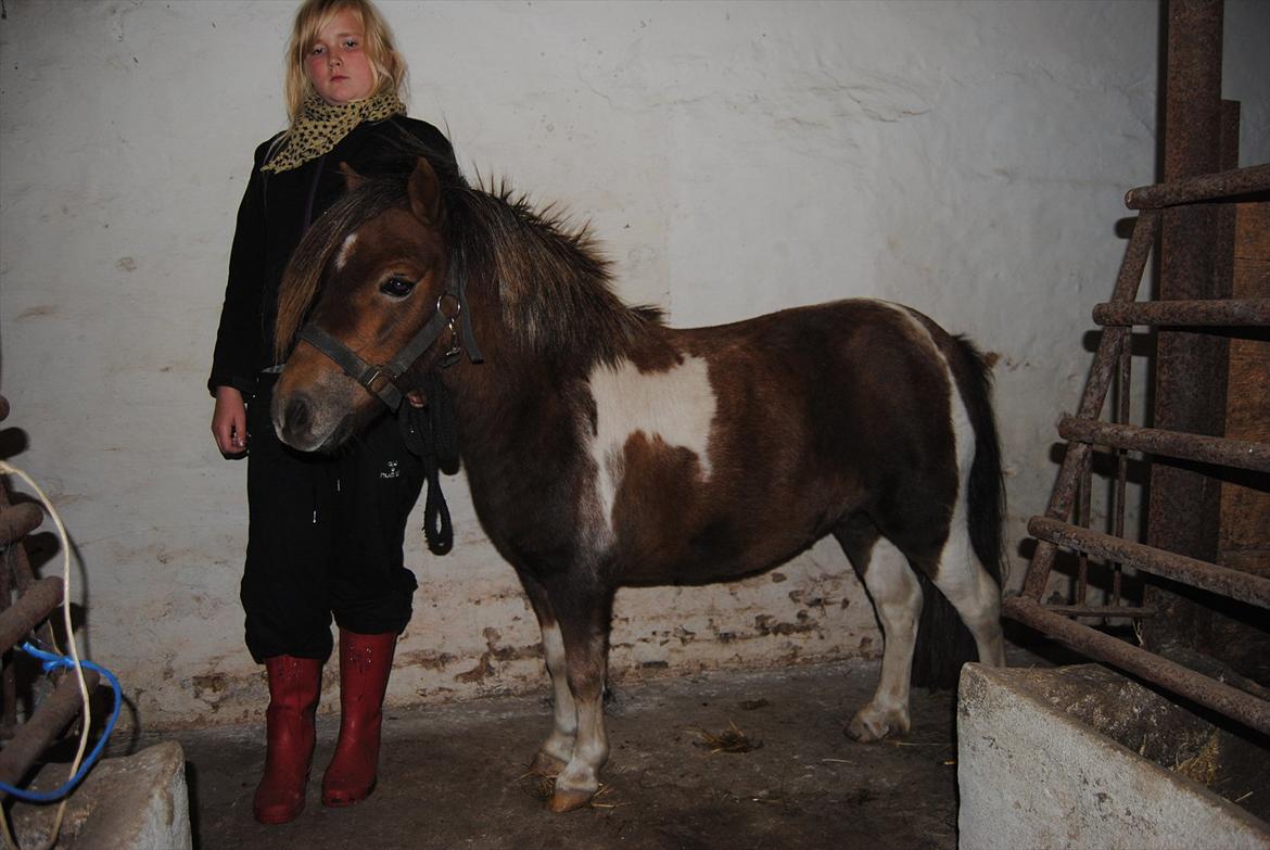 Anden særlig race Hesselskov´s Gabrielle - D. 24/9-2011 Gaby og mig i stalden, da hun lige var ankommet :o) billede 1