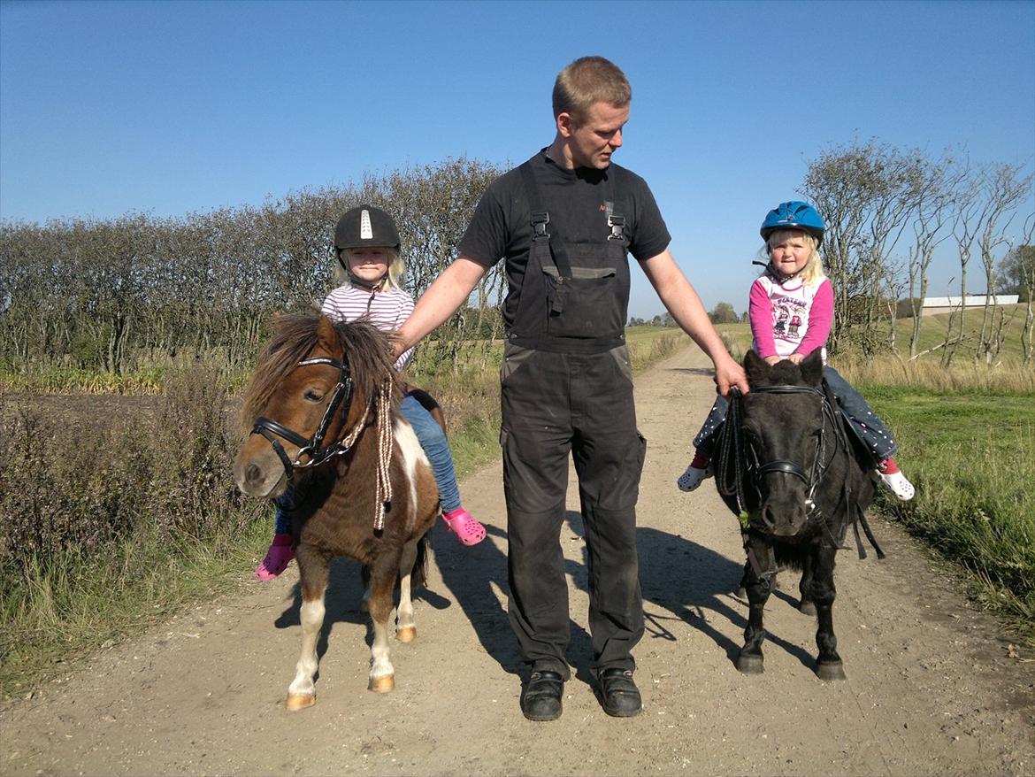 Anden særlig race Hesselskov´s Gabrielle - Min lillesøster Olivia, på Gaby, far i midten og min anden lillesøster Josephia, på Tulle :o) billede 9