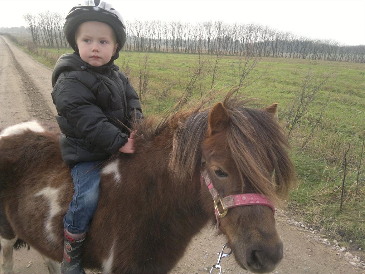 Anden særlig race Hesselskov´s Gabrielle - Nicole´s søn Tobias og Gaby :o) billede 11