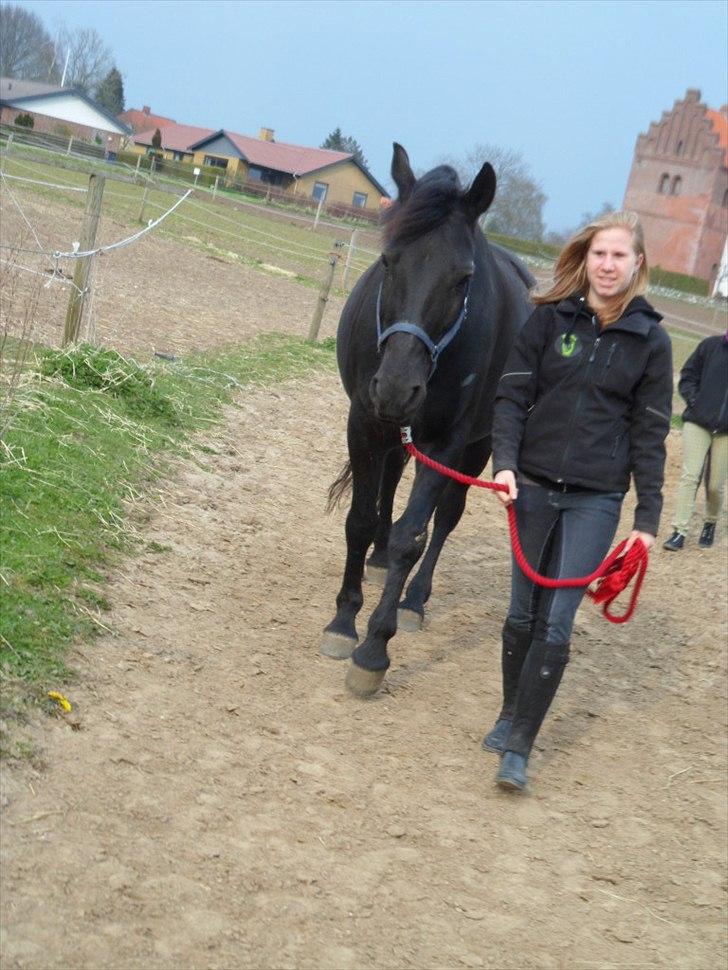 Oldenborg Gaston billede 1