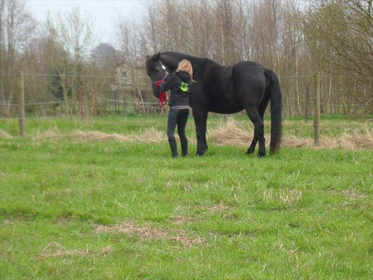 Oldenborg Gaston billede 2