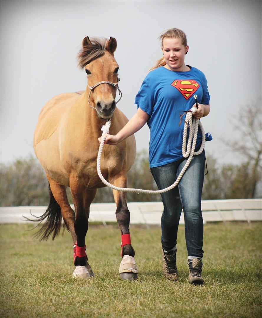 Anden særlig race Penny [Min eneste ene] - Du er fantastisk!<3 
Foto: Minna Mønster billede 17