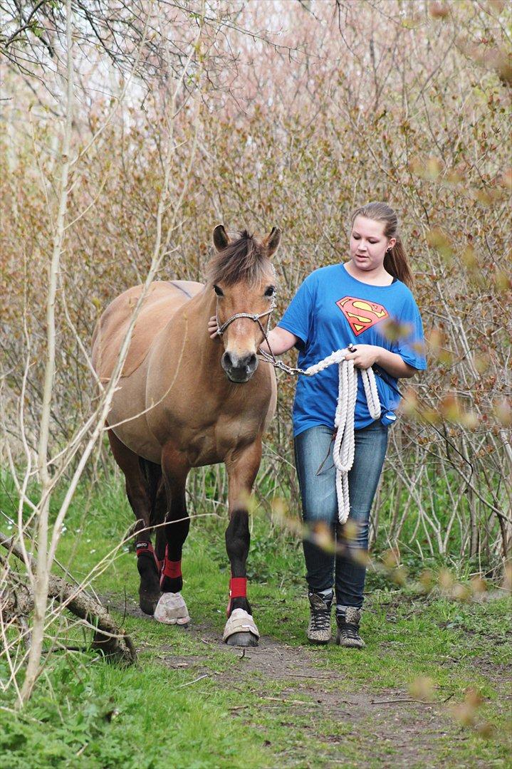 Anden særlig race Penny [Min eneste ene] - Igennem ild og vand!
Foto: Minna Mønster billede 13