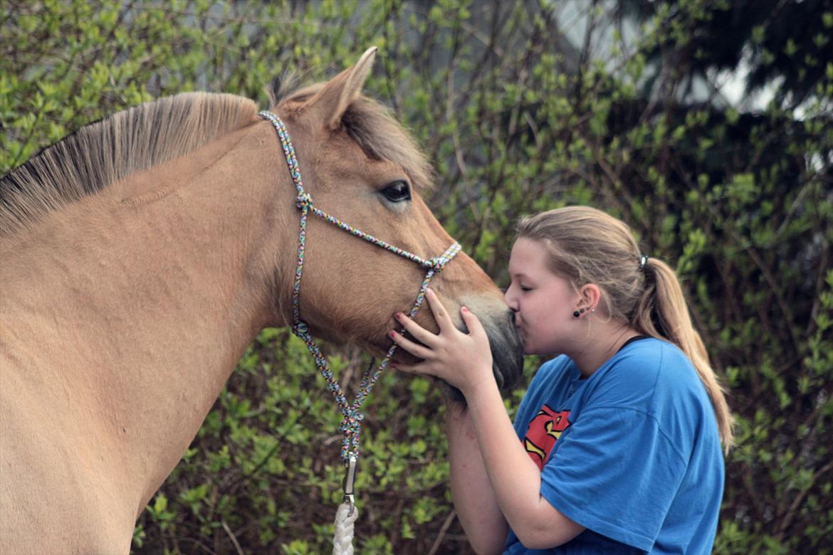 Anden særlig race Penny [Min eneste ene] - JEg er ikke et sekund i tvivl om at jeg elsker dig!<3 
Foto: Minna Mønster billede 7