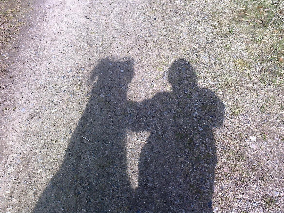 Anden særlig race lille  trixi billede 13