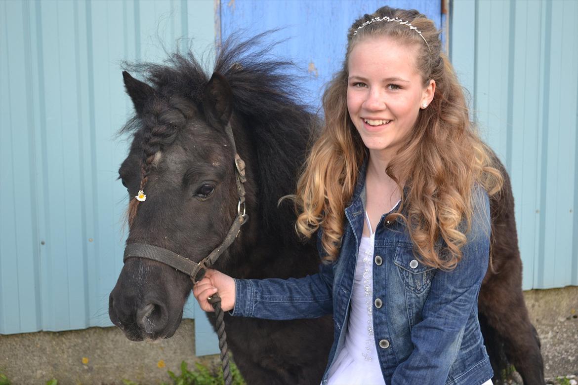 Shetlænder Boris (Trænede -> Solgt) - Velkommen til Boris' profil :-) Her er han sammen med min lillesøster Line til hendes nonfirmation, 21.04.2012 :-* billede 1