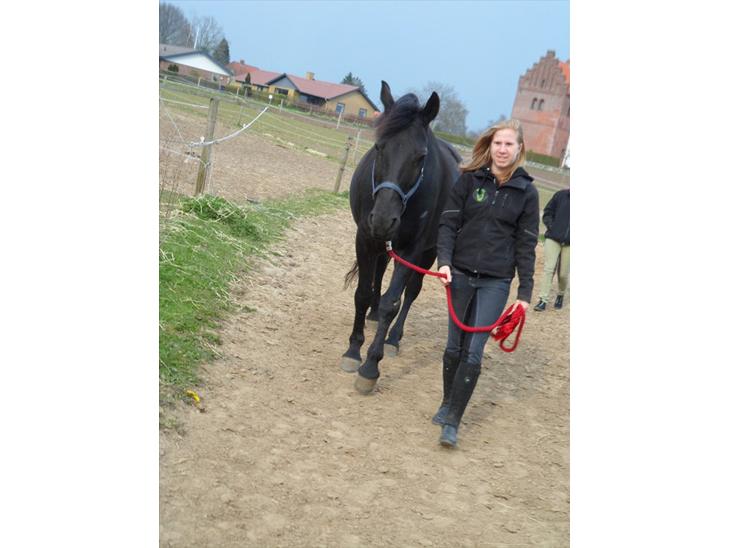 {{currentPhoto.altText}} billede {{currentPhoto.number}}