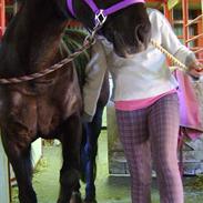 Anden særlig race Anastacia Diniel 