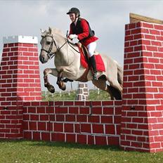 Fjordhest Hashagen's D-Mark