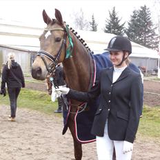 Palomino Holmevejens Zena - Tidligere hest