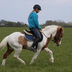 Anden særlig race Grøn Tuborg<3