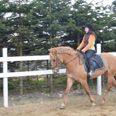 Anden særlig race Soffy. Tidligere part