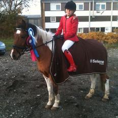 Anden særlig race Texi