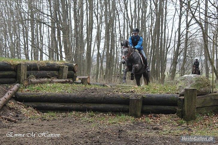 Connemara Bech's Mallachy - åbenhus i Haslev rideklub på terænbanen
Sammen med Emma Marie Hansen billede 9