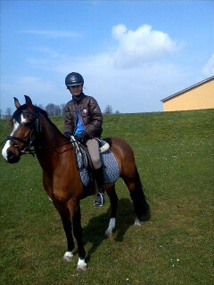 Anden særlig race Kadanza´s King billede 5