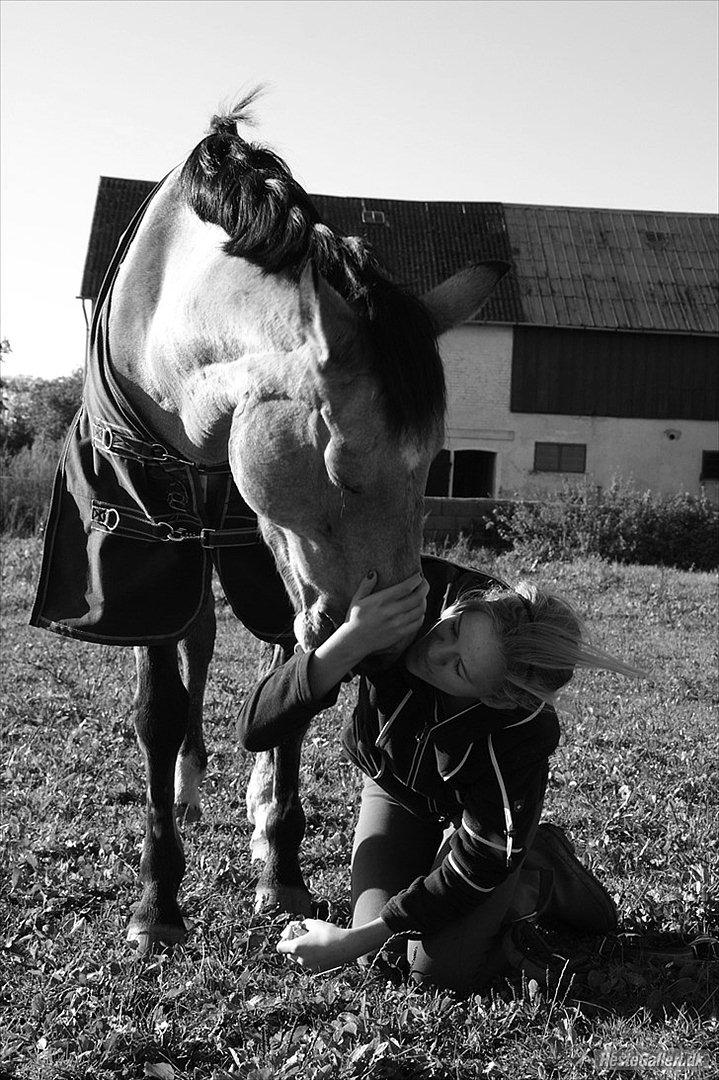 Connemara Loftsome Sandora - Du er mit et og alt!<3 billede 15