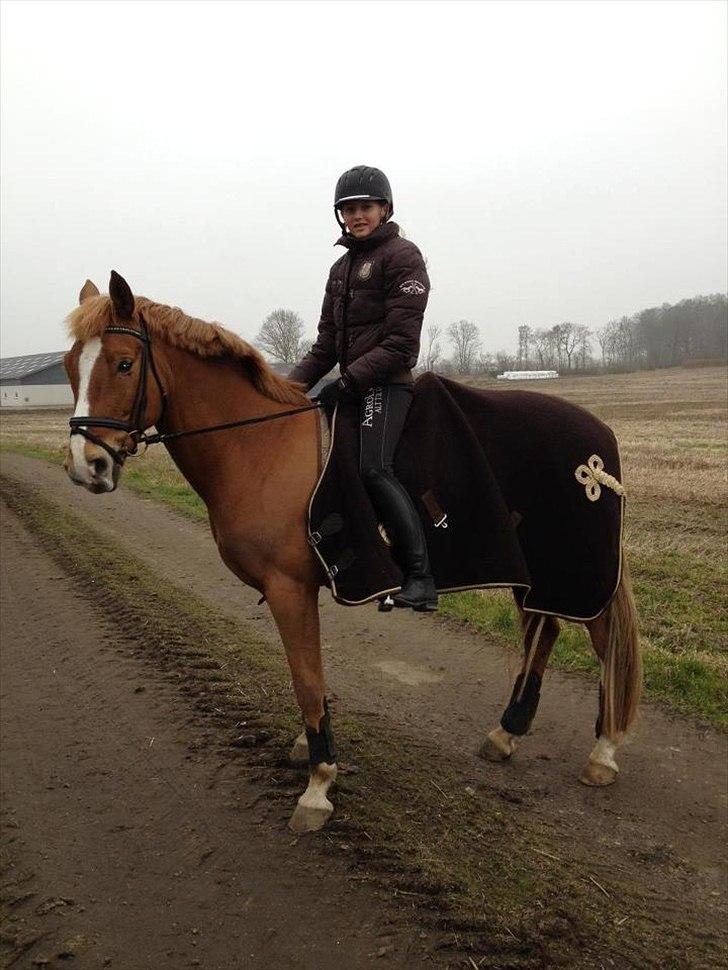 Tysk Sportspony Firfod Jacob Klaphat - Tur :-) billede 7