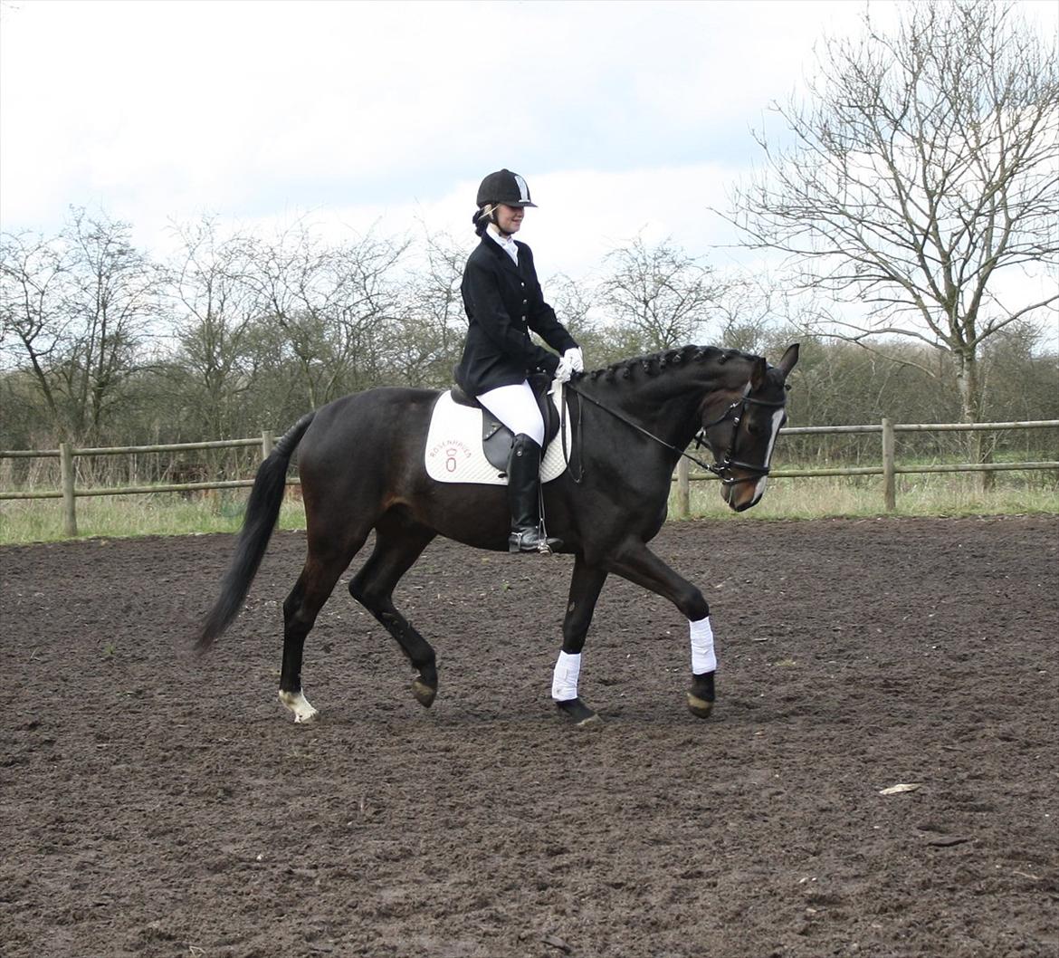 Oldenborg Rosenhavens Madok - han er bare blevet så god! :)  billede 10