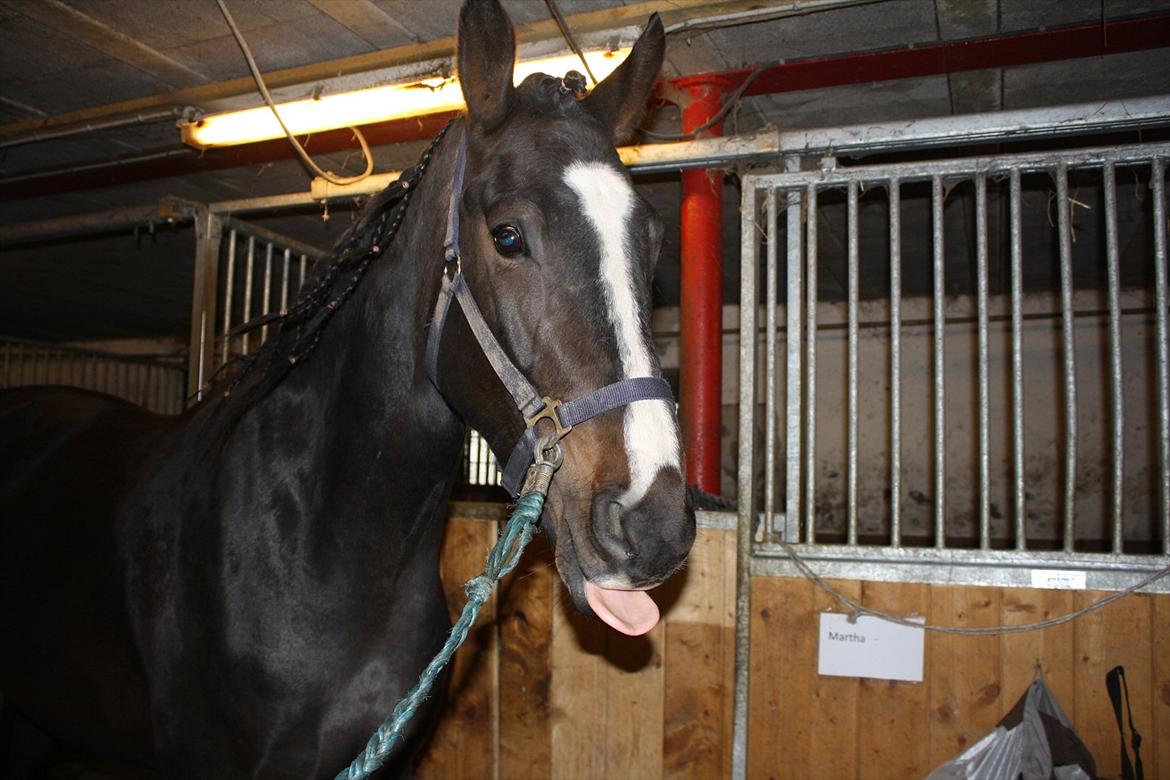 Oldenborg Rosenhavens Madok billede 11