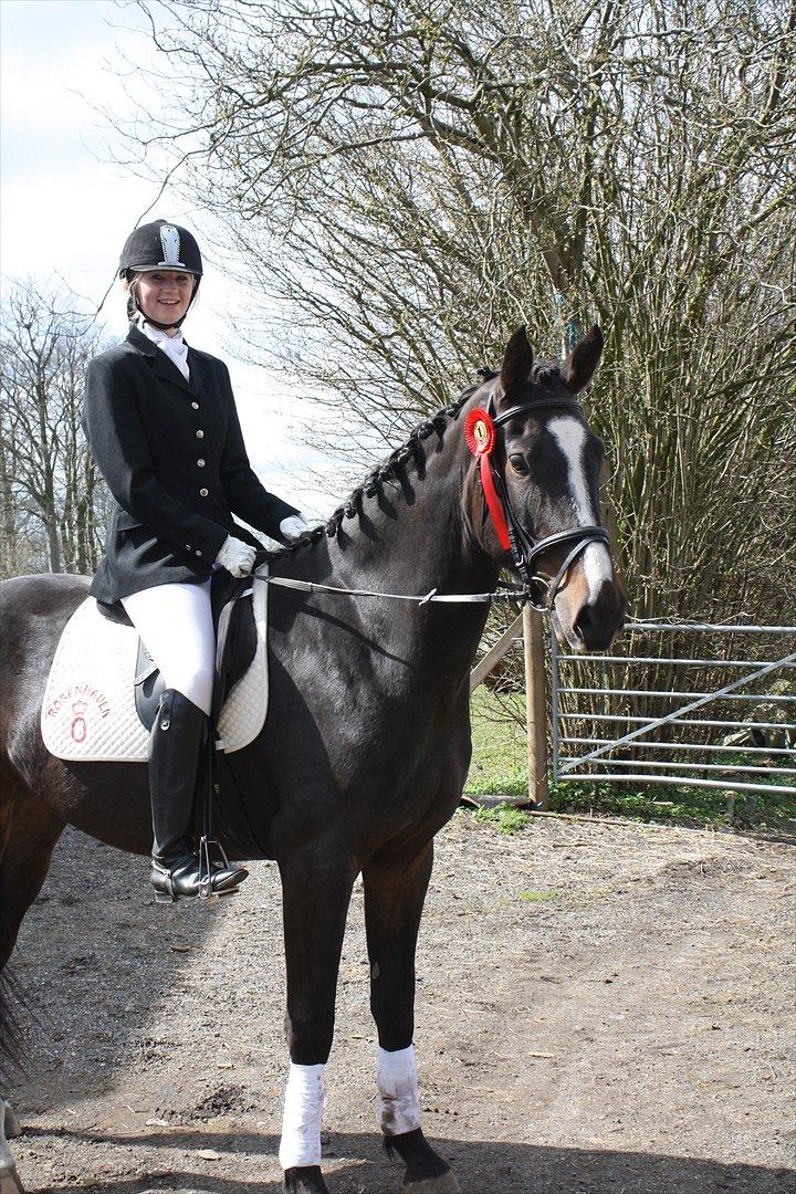 Oldenborg Rosenhavens Madok - madok's stævne debut :) 15. april 2012.. vi red LD1 og fik 1. plad ud af 2 :) han har kun været redet i 5 måneder :)  billede 12