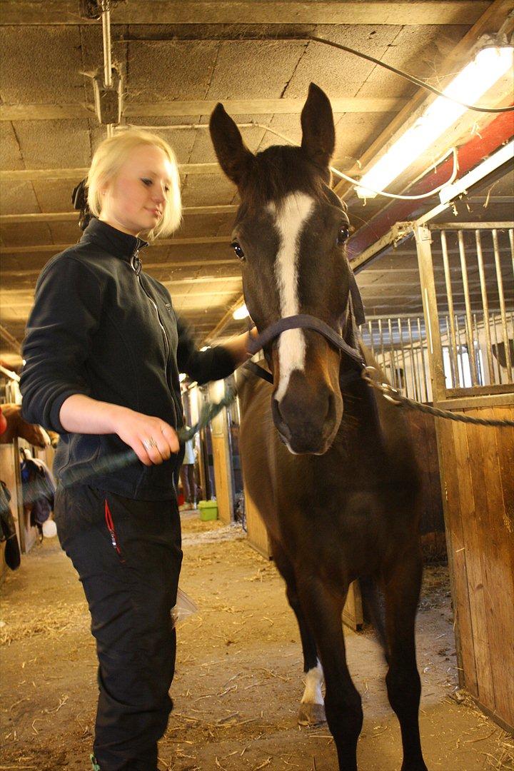 Oldenborg Rosenhavens Madok - han ligefrem stråler af kærlighed! :D  billede 13